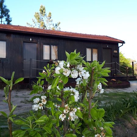 הוילה Baião Casinha Do Cedro מראה חיצוני תמונה