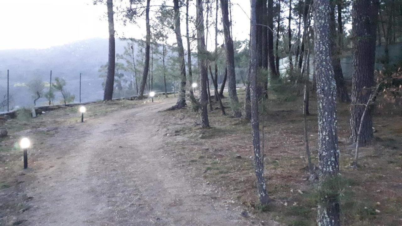 הוילה Baião Casinha Do Cedro מראה חיצוני תמונה